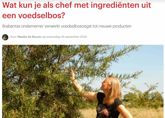 Food Inspiration
