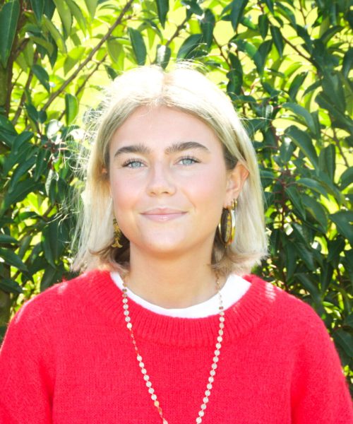 Suzie Suzie